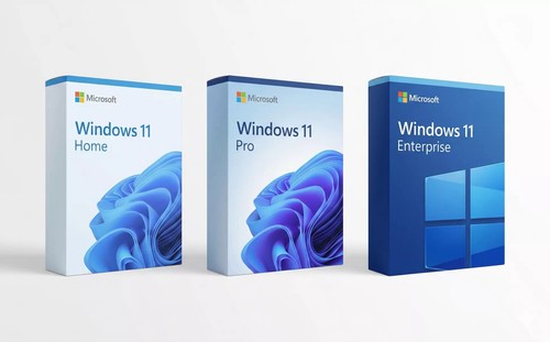 Windows pro home - 11, or